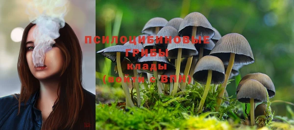 ECSTASY Кинешма